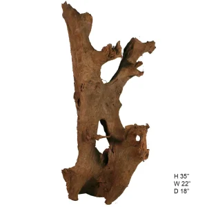 Malaysian Driftwood, Super WYSIWYG 35" x 22"