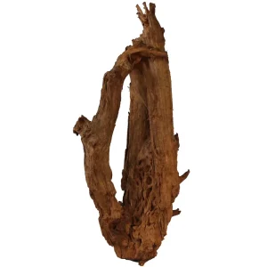 Malaysian Driftwood, Super WYSIWYG 37" x 13"