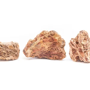 Maple Leaf Stone