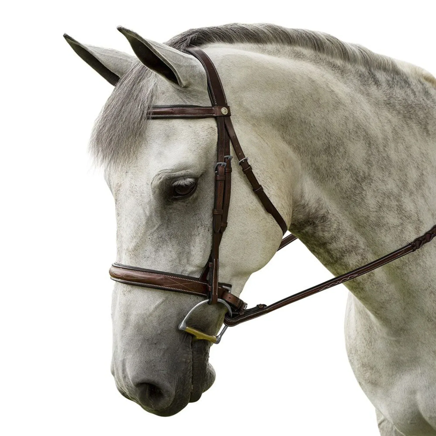 Marcel Toulouse Platinum Liza Hunter Derby Bridle - Image 2