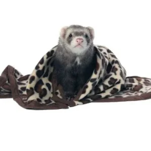Marshall Designer Fleece Blanket for Small Animals