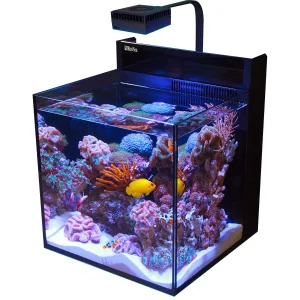 Max Nano XL G2 - 33 Gallon Aquarium (No Stand) - Red Sea