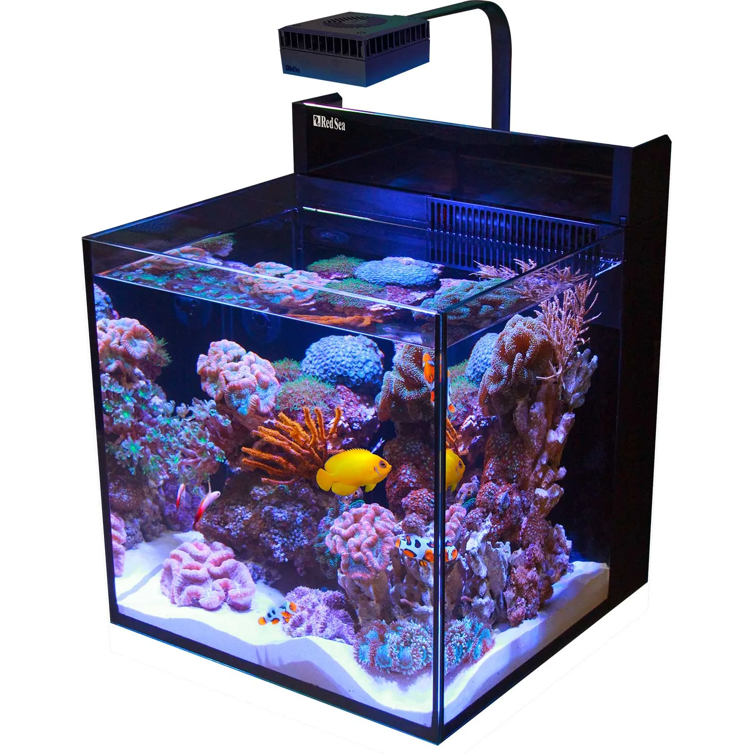 Max Nano XL G2 - 33 Gallon Aquarium (No Stand) - Red Sea