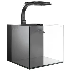 Maxspect Dice AIO Nano Cube Aquarium 12 Gal. w/ MJ-L165 LED