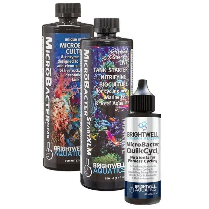 MicroBacter Dry Rock Bacteria Starter Kit - Brightwell