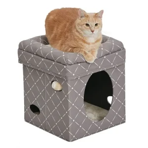 Midwest Curious Cat Cube