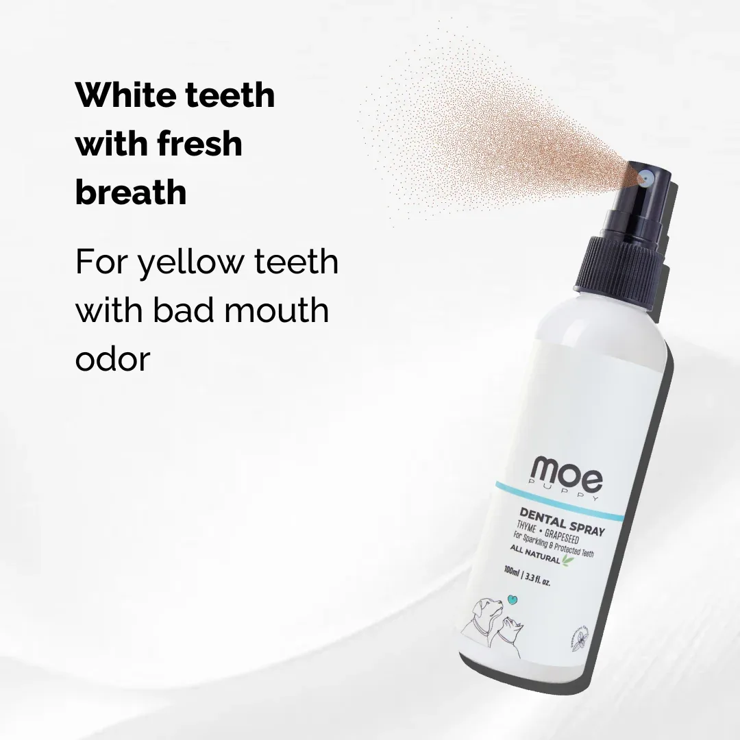 Moe Puppy Thyme Grapeseed Dental Spray for Dogs & Cats - Image 2