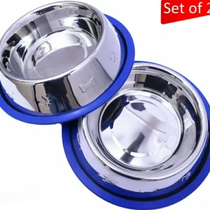 Mr. Peanut's Etched Stainless Steel Dog Bowls with Blue Silicone Base, Set of 2