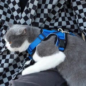 Mr. Peanut's PurrTrek Reflective Cat Dog Harness with Matching Dog Leash