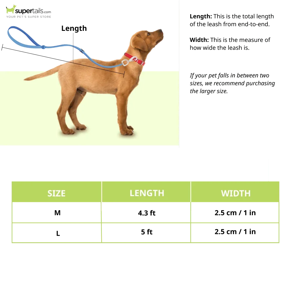 Mutt of Course Pawesome Blossom Leash for Dogs - Image 2