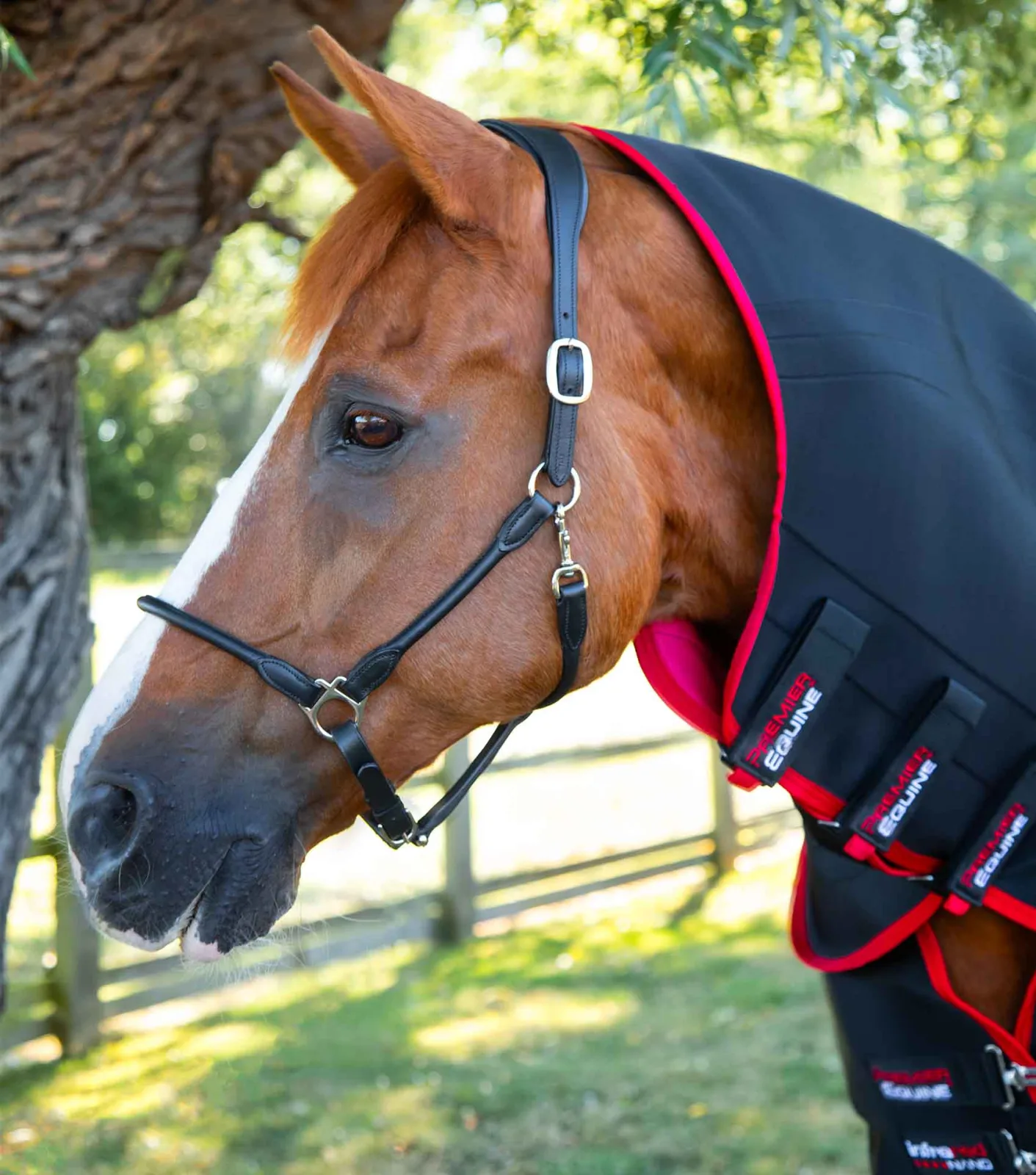 Nano-Tec Infrared Horse Rug - Image 2