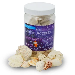 Natural Marine Accents Fossilized Aragonite - Ocean (800 mL) - Pisces Aqua