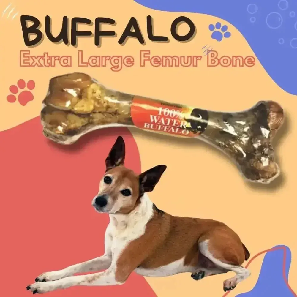 Natural Water Buffalo Femur Bone Extra Large Chew for Dogs