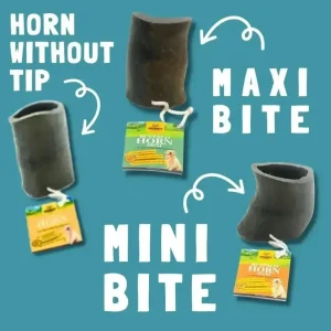 Natural Water Buffalo Horn Bites for Dogs