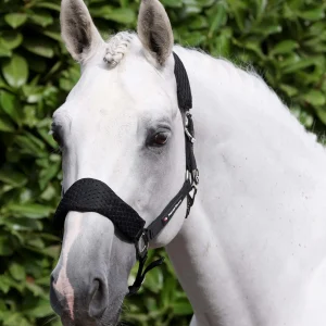 Necto 3D Mesh Head Collar with Lead Rope Black