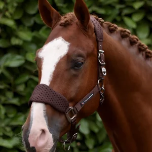 Necto 3D Mesh Head Collar with Lead Rope Brown