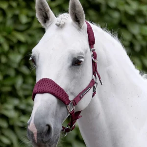 Necto 3D Mesh Head Collar with Lead Rope Burgundy