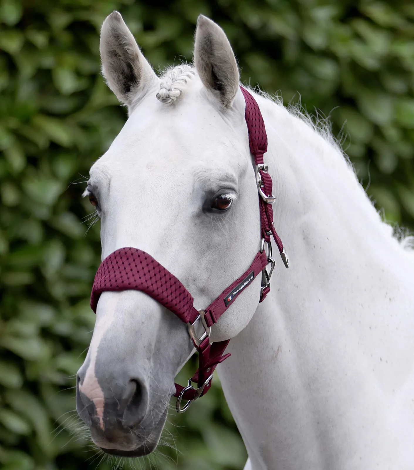 Necto 3D Mesh Head Collar with Lead Rope Burgundy