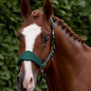 Necto 3D Mesh Head Collar with Lead Rope Green