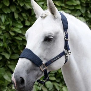 Necto 3D Mesh Head Collar with Lead Rope Navy