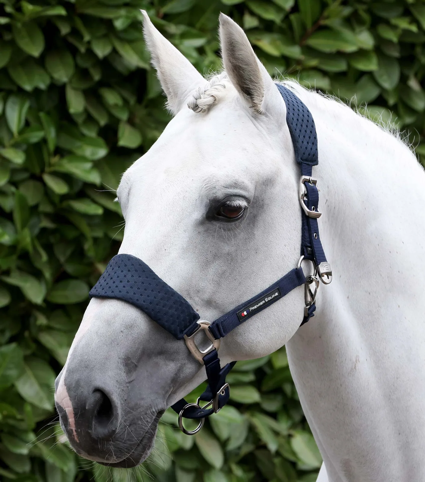 Necto 3D Mesh Head Collar with Lead Rope Navy