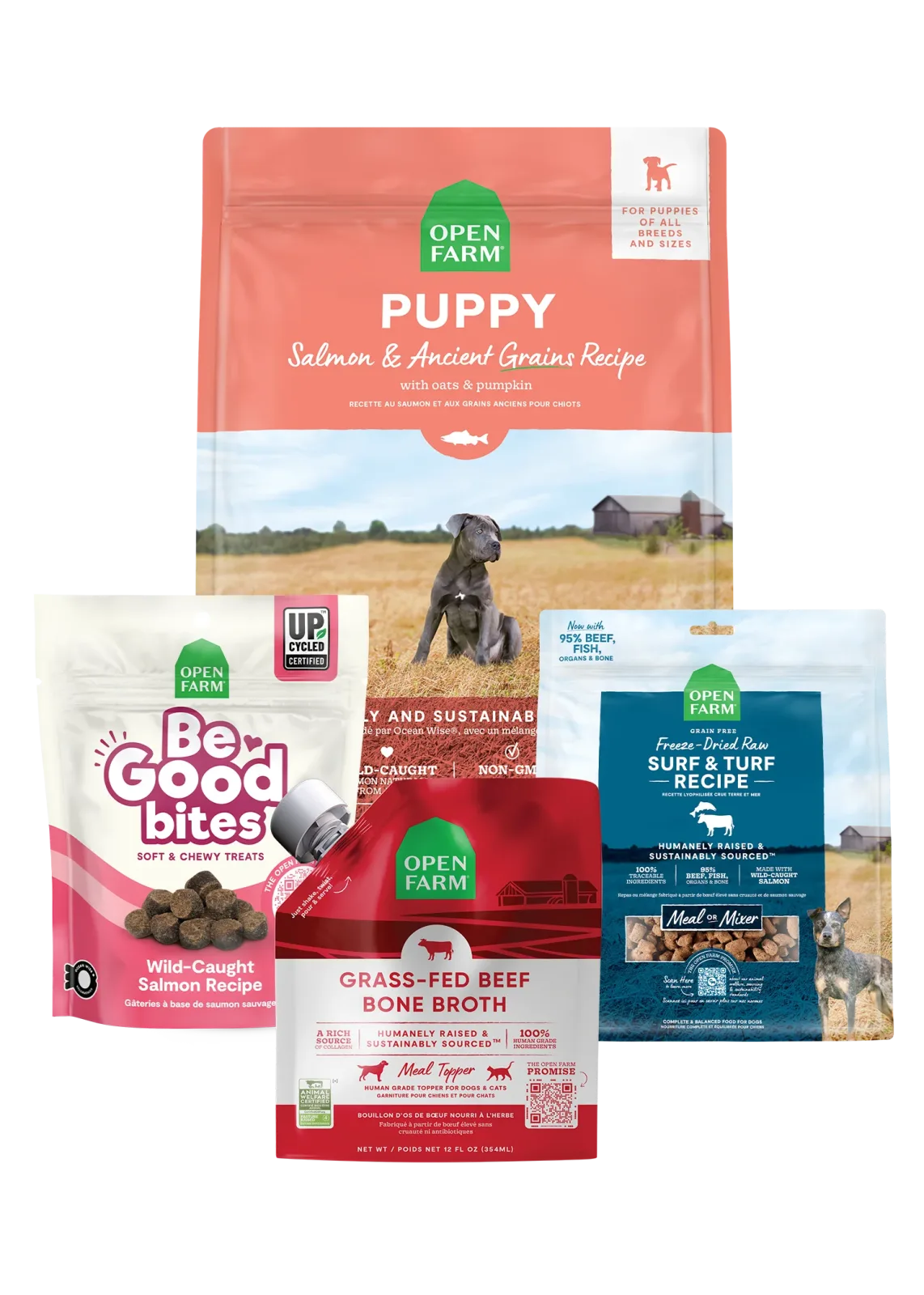 New Puppy Bundle