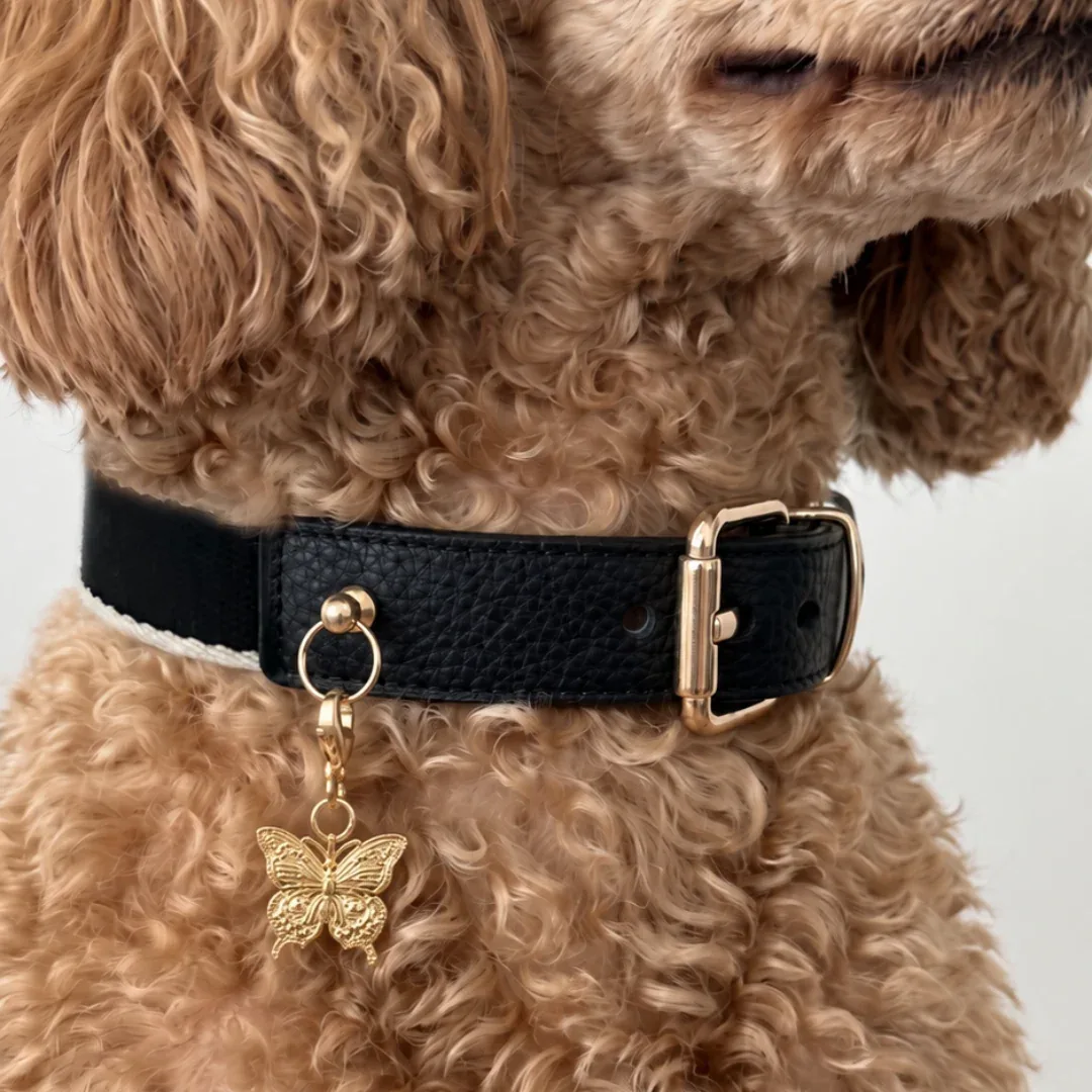 NOIR COLLAR