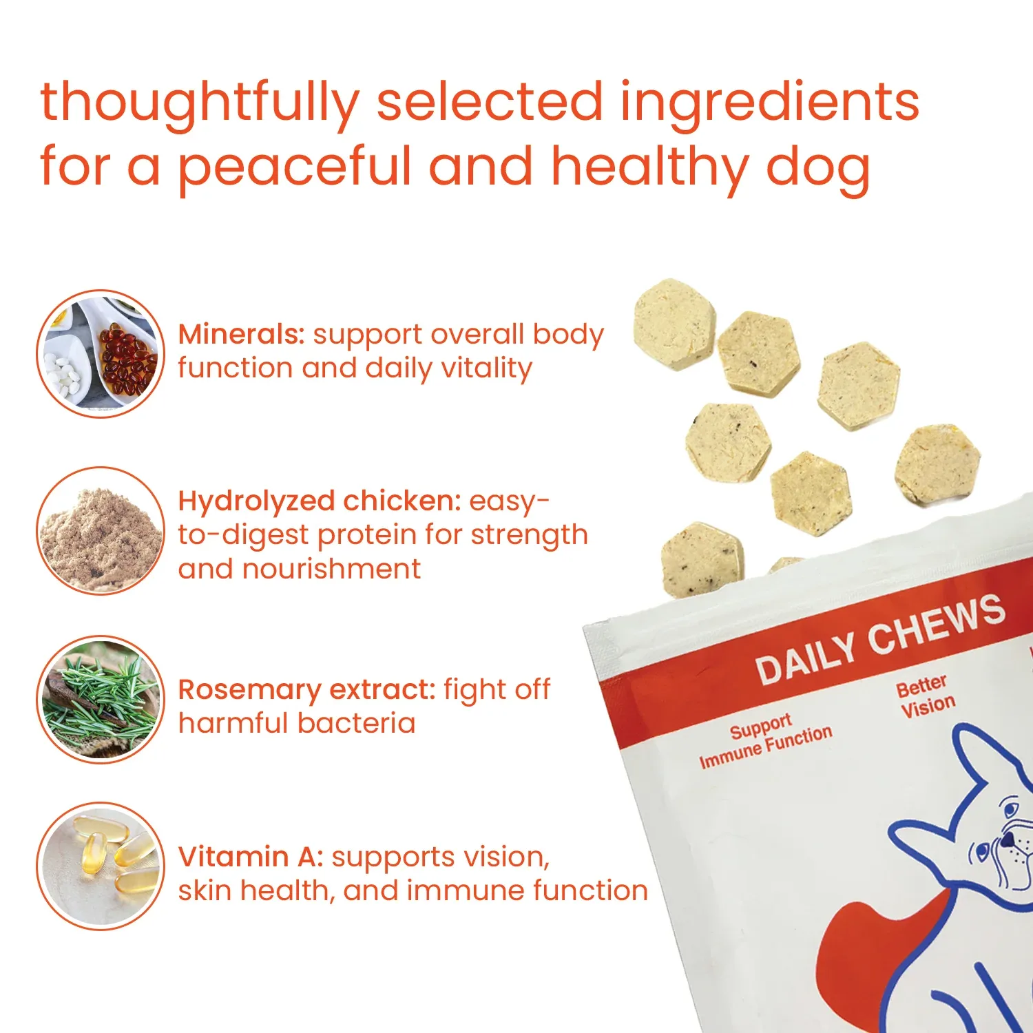 Nootie+ Multivitamin Daily Chews Supplement for Dogs - Image 2