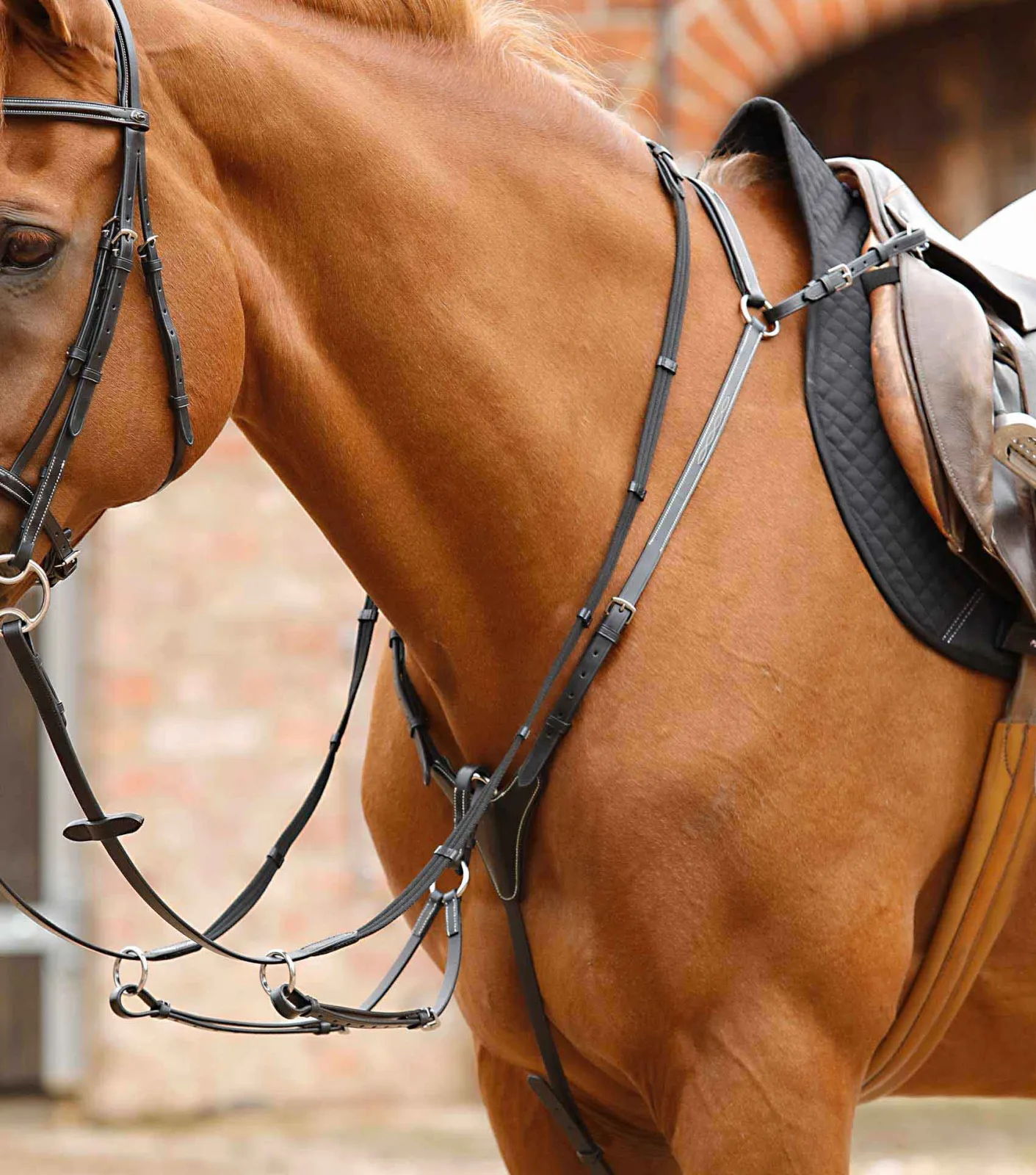 Norbello Hunter Breastplate Black