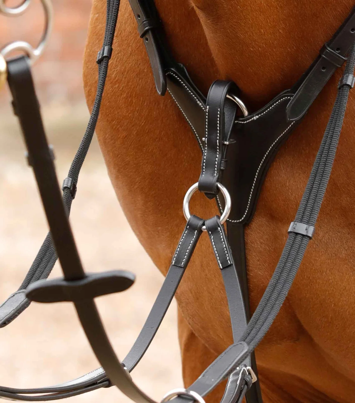 Norbello Hunter Breastplate Black - Image 2