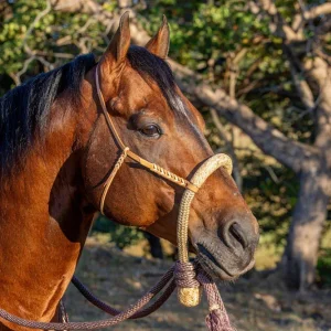 NRS Hand Braided Rag Hackmore