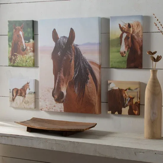 NRS Lots of Horses Canvas Collage Set of 5