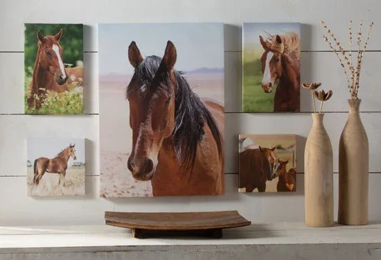 NRS Lots of Horses Canvas Collage Set of 5 - Image 2