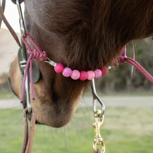 NRS Pink Cactus Silicone Beaded Gag Bit Curb Strap