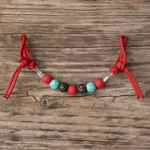 NRS Red Turquoise Cactus Silicone Beaded Gag Bit Curb Strap