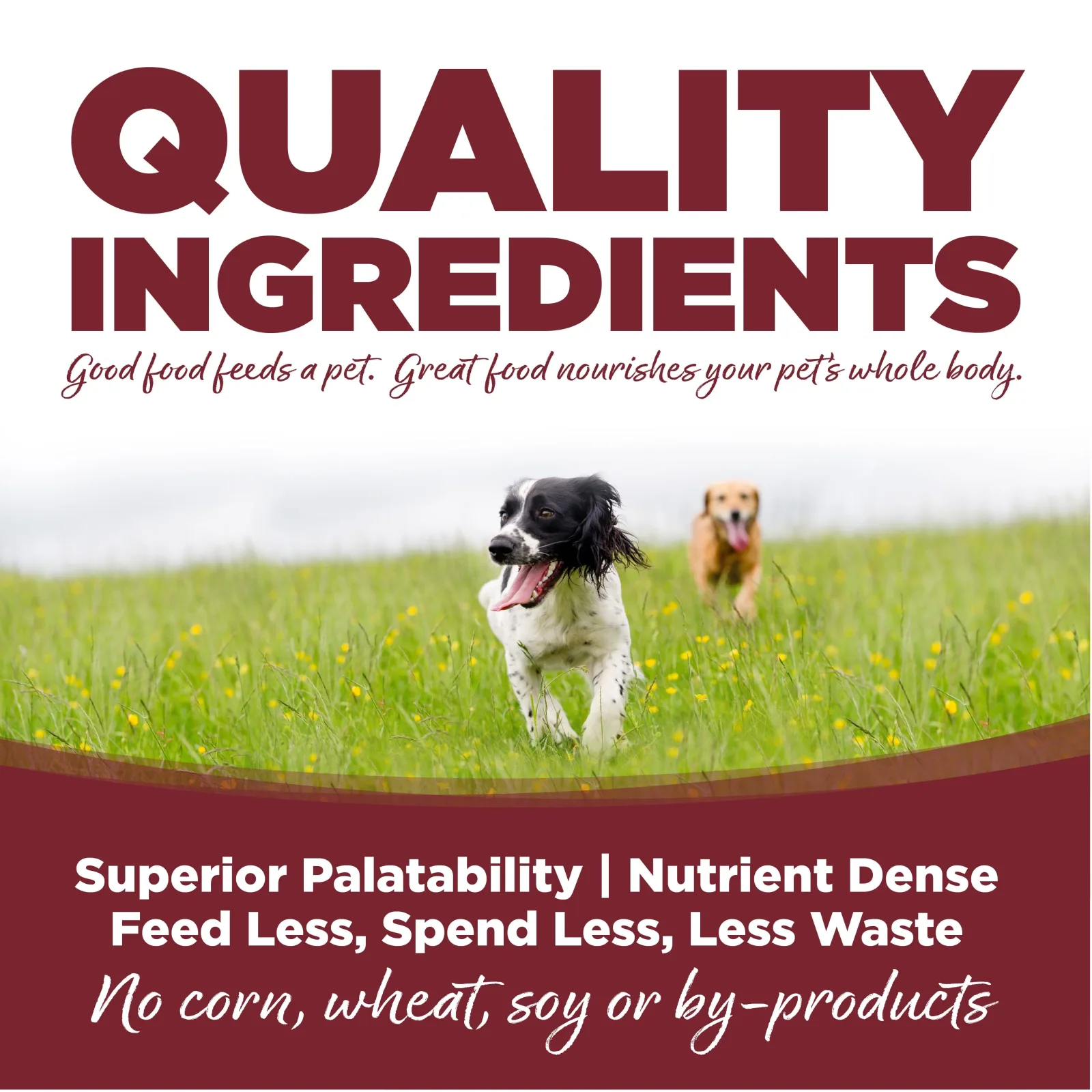 Nutrisource Adult Beef & Rice Dry Dog Food - 5 lb Bag - Image 2