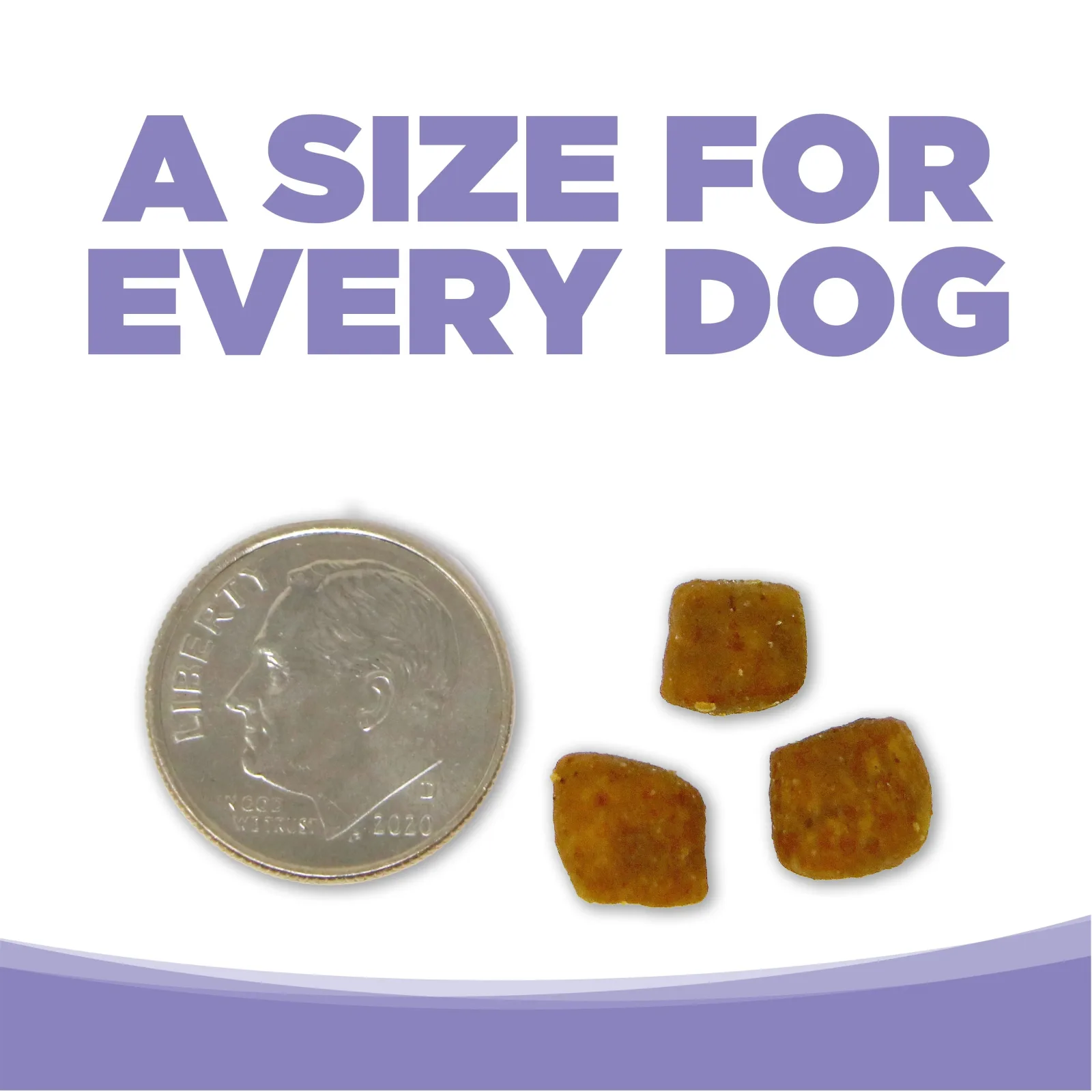 Nutrisource Grain Free Small/Med Breed Puppy Dry Dog Food - 15 lb Bag - Image 2