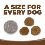 Nutrisource Pure Vita Chicken & Brown Rice Dry Dog Food - 15 lb Bag - Image 2