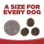 Nutrisource Pure Vita Grain Free Beef & Lentil Dry Dog Food - 25 lb Bag - Image 2