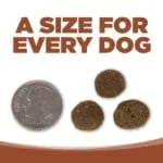 Nutrisource Pure Vita Grain Free Kangaroo & Lentil Dry Dog Food - 5 lb Bag - Image 2