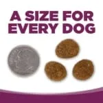 Nutrisource Pure Vita Grain Free Pork & Peas Dry Dog Food - 5 lb Bag - Image 2