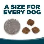 Nutrisource Small Bites Adult Chicken & Rice Dry Dog Food - 15 lb Bag - Image 2