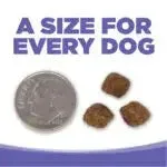 Nutrisource Small/Medium Breed Puppy Chicken & Rice Dry Dog Food - 15 lb Bag - Image 2