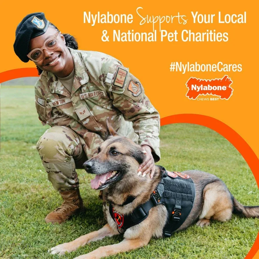 Nylabone Boop N Bobble Interactive Dog Puzzle Toy and Treat Dispenser - Image 2
