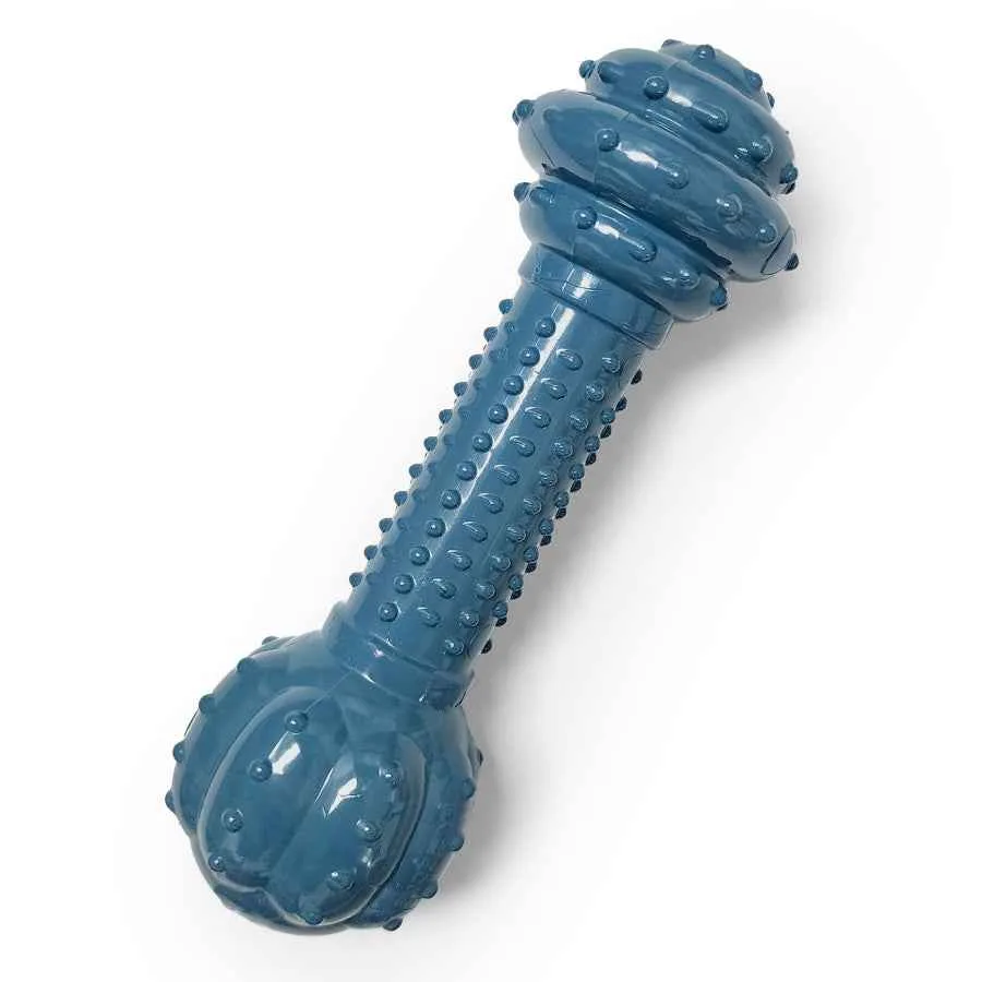Nylabone Dog Chew Toy - Power Chew Love Our Oceans Barbell for Dogs