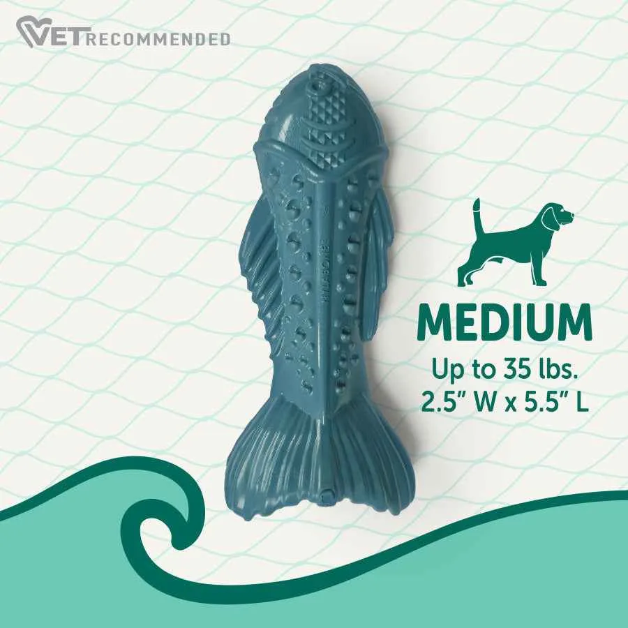 Nylabone Textured Fish Dog Chew Toy for Power Chewers - Love Our Oceans Edition - Image 2