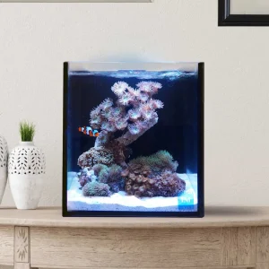 (OPEN BOX) 10 Gallon Fusion Pro 2 Bundle AIO Aquarium (0205-P) - Innovative Marine