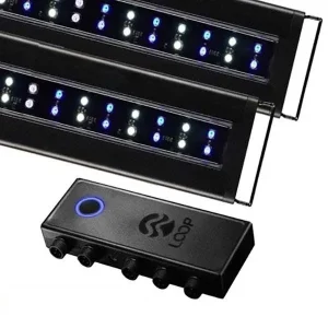 Orbit Marine 24"- 36" Bluetooth IC LOOP PRO Dual LED System (4335) - Current USA
