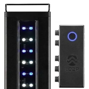 Orbit Marine 36"- 48" Bluetooth IC LOOP LED (4206) - Current USA