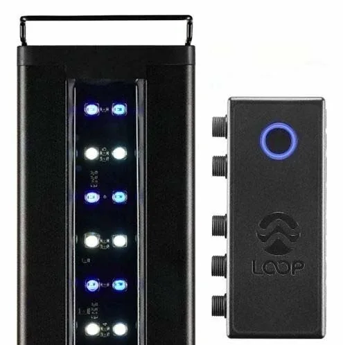 Orbit Marine 48"- 60" Bluetooth IC LOOP LED (4207) - Current USA